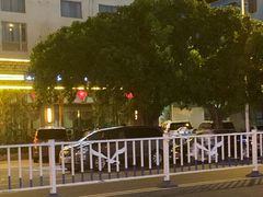 -龙泉人椰子鸡.糟粕醋.海南菜(三亚旗舰店)