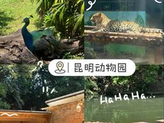 -昆明动物园
