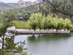 -九龙池景区