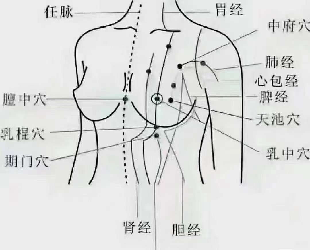 左乳12点位置图片图片