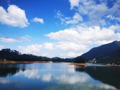 -广州市流溪河国家森林公园