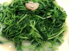 -利苑酒家(合景国际金融广场店)