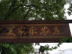 -美家乐农庄·露营·团建(大治路店)