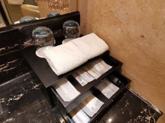 -成都保利公园皇冠假日酒店(熊猫基地店)