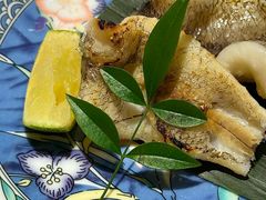 -镹·鱼料理  国产鱼使用店