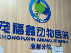 -宠福鑫康馨动物医院·骨科·眼科