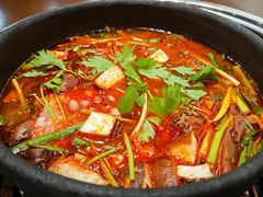 -黔有有贵州酸汤夺夺粉火锅(五味十字店)