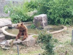 -无锡动物园·太湖欢乐园