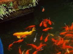-三苏祠