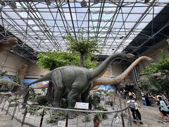 -国家自然博物馆