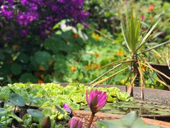 -优游吧斯邹族文化部落