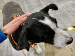 -五进制 Coffee Shop