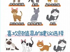 -Bastet sally猫舍购宠(静安店)