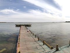 -包头南海湿地景区