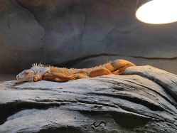 -Zoolung Zoolung动物主题公园(海信广场店)