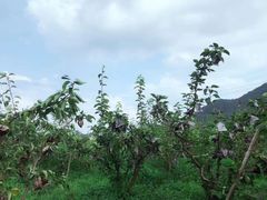 -仙山谷激浪漂流