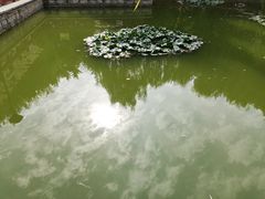 -石刻园