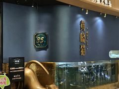 -黄晓猫剁椒大鱼头(海岸城店)