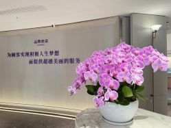 -广州美莱医疗美容医院
