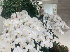 -芳草地度假酒店·野炉中餐厅