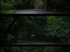 -北陵公园