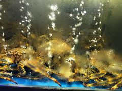 -蟹之国·精品蟹料理(极地店)