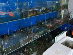 -阿伍海鲜大排档(塔湾金沙店)