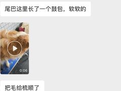 -趣玩宠物乐园寄养训犬训狗游泳池