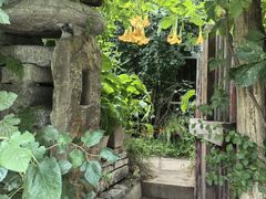 -斯多格书乡(北京大学畅春园店)