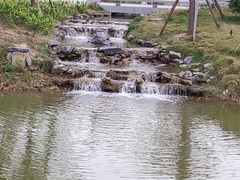 -王借岗森林公园