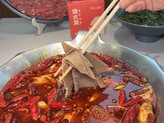 -渝大龙重庆火锅(温泉月亮湾店)