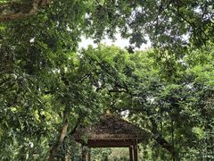 -张坝桂圆林公园