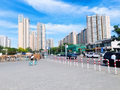-望京西(地铁站)