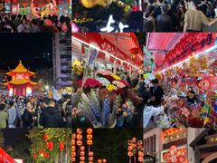 -越秀西湖花市(广州城市广场花卉店)