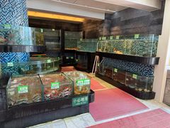 -鹏城人家海鲜酒家·23年老字号(较场尾店)