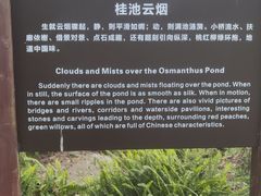 -南山植物园