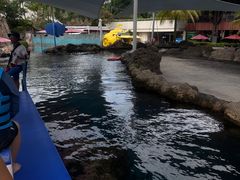 -新加坡水上探险乐园
