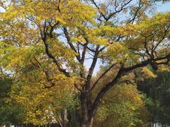 -哈尔滨文化公园