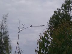 景点-龙泉岩寺庙群