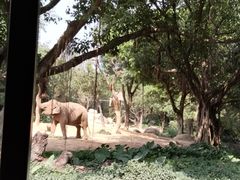 -广州长隆野生动物世界