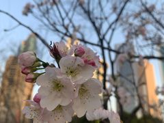 -西北湖绿化广场