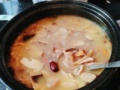 -蘑统田下·野生菌火锅