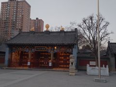 -护国法轮寺