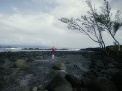 -夏威夷岛