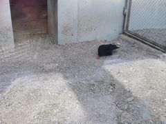 -青藏高原野生动物园