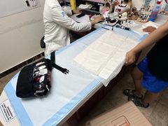 -美联众合动物医院·24h转诊中心