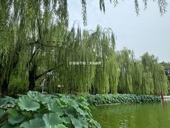 -丰台花园