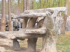 -北京野生动物园