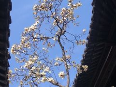 -何园