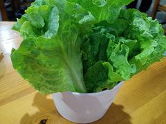 -五指山生态小黄牛(皮皮虾海鲜广场店)